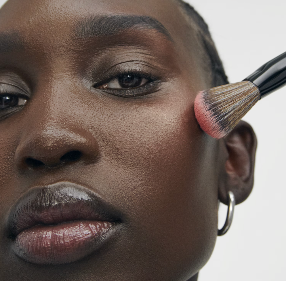 Sephora Pro Brush Blush #93